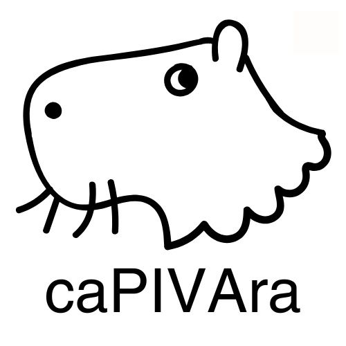 Organizacoes Capivara